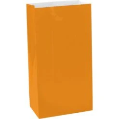 Lot De 12 Sachets à Bonbons Orange Halloween