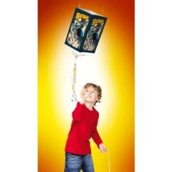 Pinata Souple Batman 5 Pinata Souple Batman -BOUGIES ANNIVERSAIRE Magasin pinata souple batman 69045Bleu 3