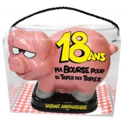 Tirelire Cochon 18 Ans