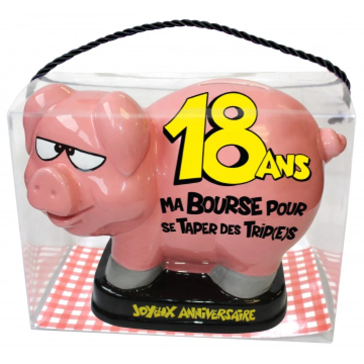 Tirelire Cochon 18 Ans 1 Tirelire Cochon 18 Ans